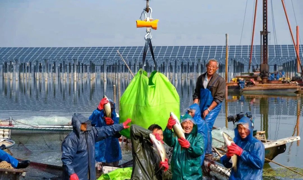 e0ad1418c24a0493a3bd7181cce1becb.jpg e0ad1418c24a0493a3bd7181cce1becb.jpg