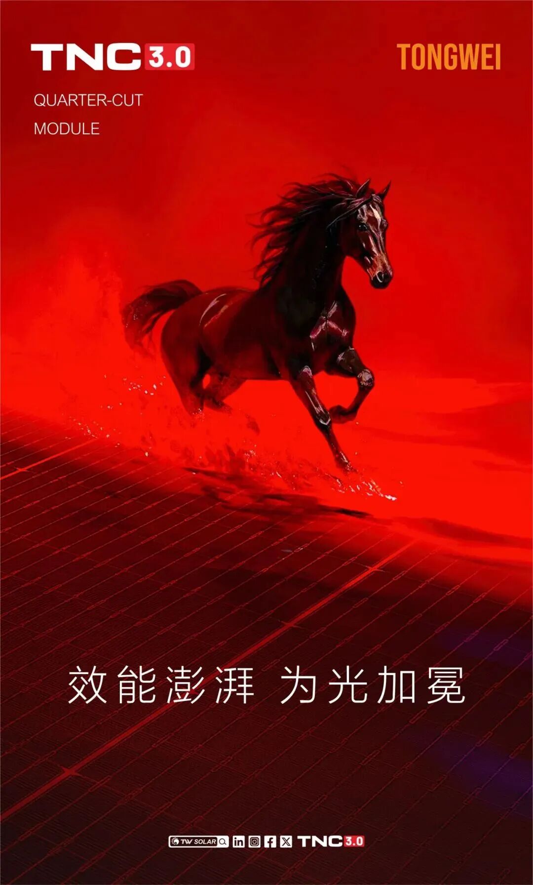 e76ac799c2d7741ef063679ca420e661.jpg e76ac799c2d7741ef063679ca420e661.jpg