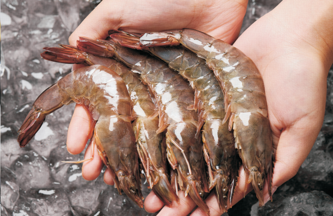 102a290ed2d415370546b66d9d4c8f81.png 102a290ed2d415370546b66d9d4c8f81.png